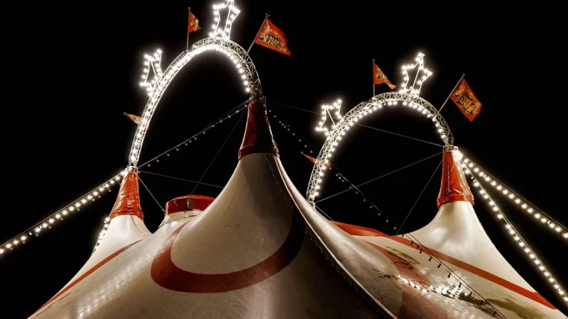Použití hlodavců ve hře adjectacle and circus